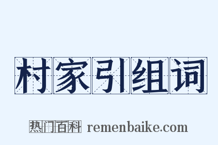 村家引组词是什么意思的图片
